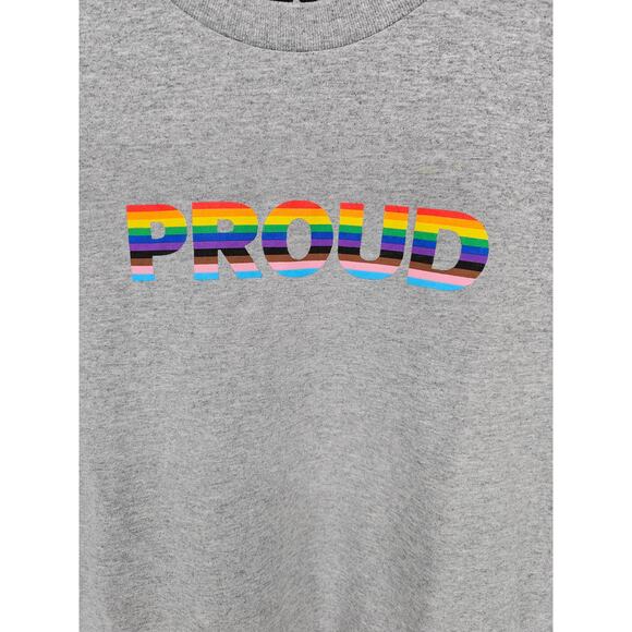 Phluid Project Womens Sz M Short Sleeve T Shirt Proud Pride Flag Gray - Picture 2 of 4